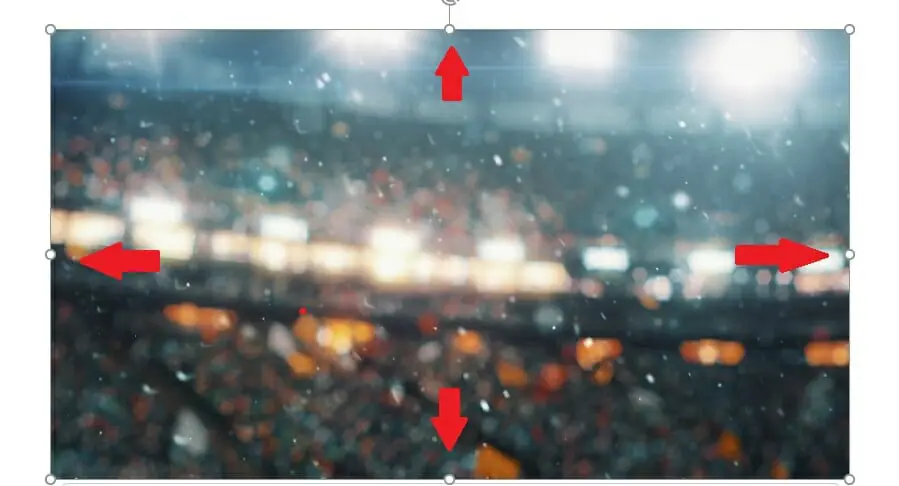Insert Videos into PowerPoint: Tutorial & 4 Creative Tips 15 Insert video into PowerPoint