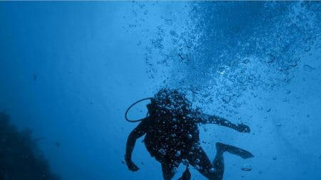 Blue Ocean Strategy with PowerPoint