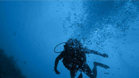 Blue Ocean Strategy PowerPoint