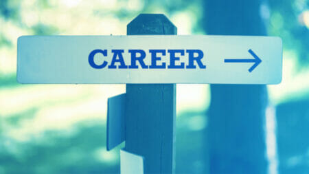 Career