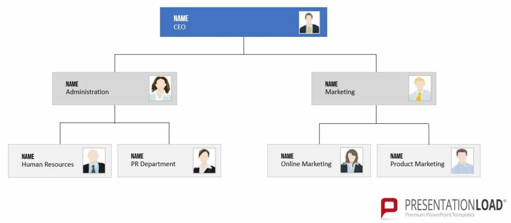 Organizational Chart hierarchical chart