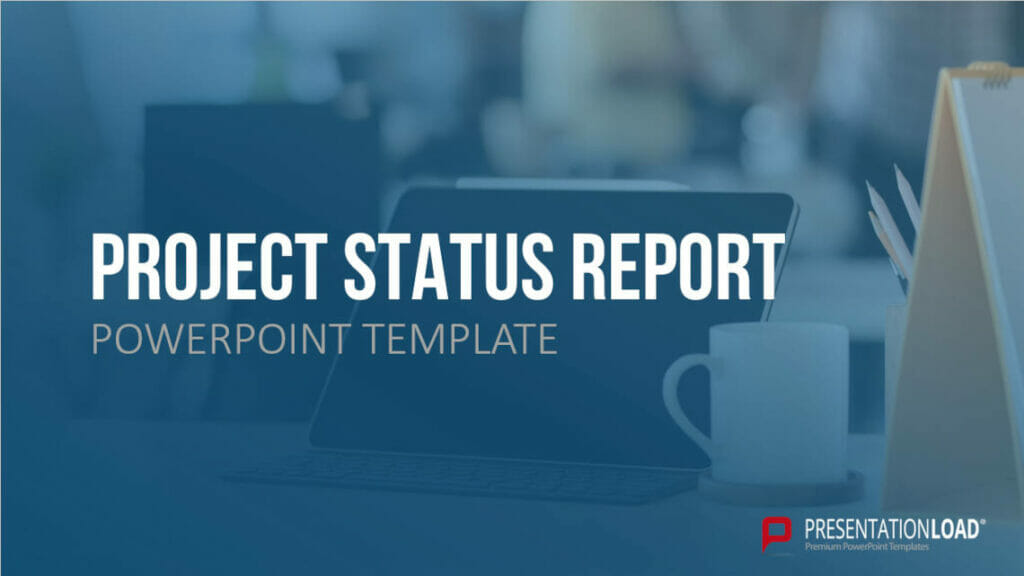 Project Status Report